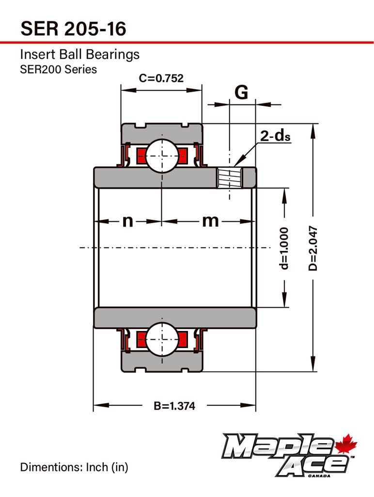 SER205-16, ER16 Insert Bearing 1in Bore, Cylindrical OD with Snap Ring